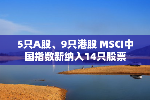 5只A股、9只港股 MSCI中国指数新纳入14只股票